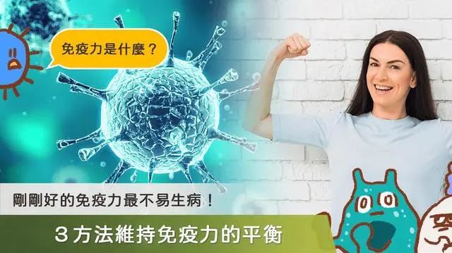 香烟纸管批发_香烟烟管生产机器_香烟