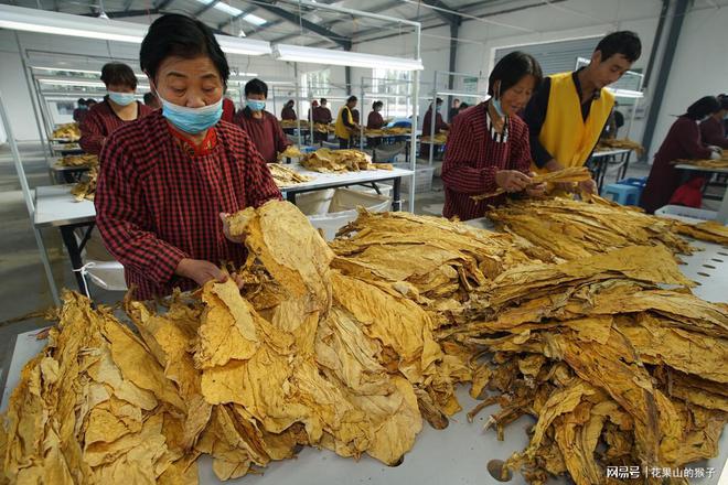 羊城香烟还有得卖吗_香烟羊城多少钱_羊城香烟