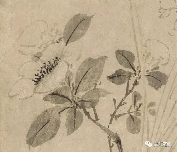 花图片_花樽与花_一枝花