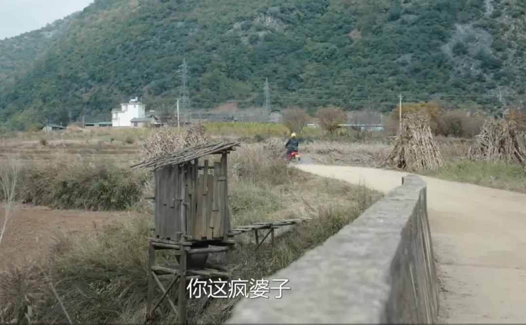 花开了花谢了_一枝花_花图片