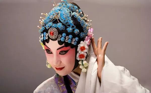 一枝花_花开了花谢了_花图片