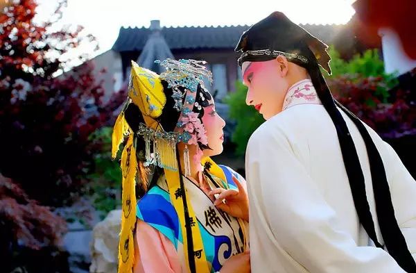 一枝花_花开了花谢了_花图片