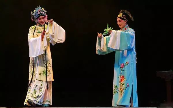 花图片_一枝花_花开了花谢了