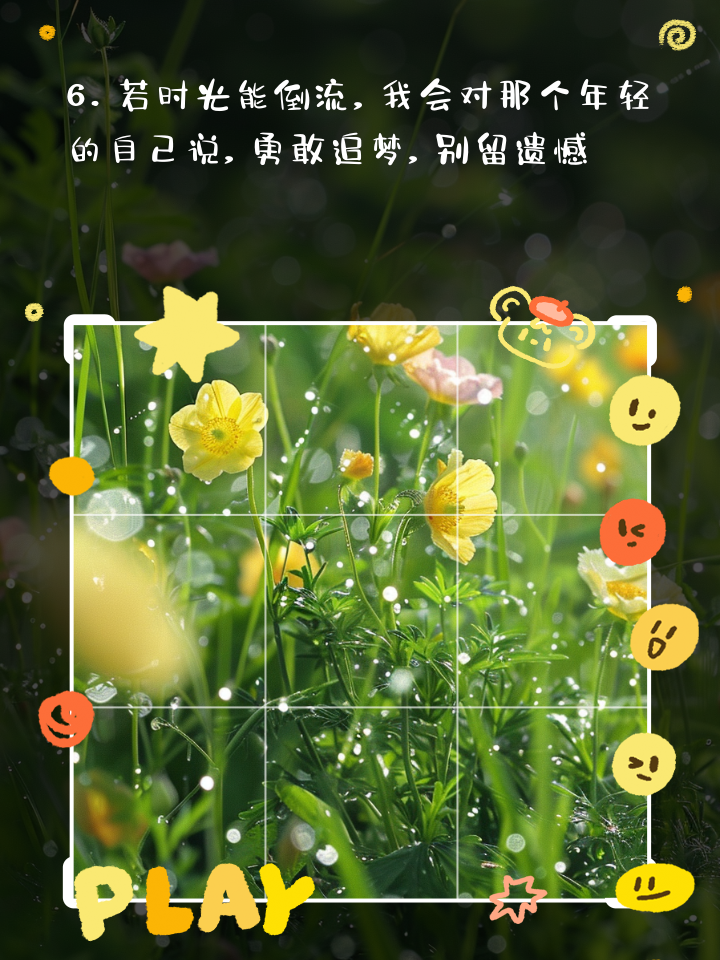 一枝花_花开了花谢了_花图片
