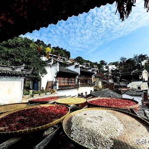 爆料!骆驼烟，骆驼烟是哪个国家制造的啊“第8261期” - 2 - AH香烟货源网
