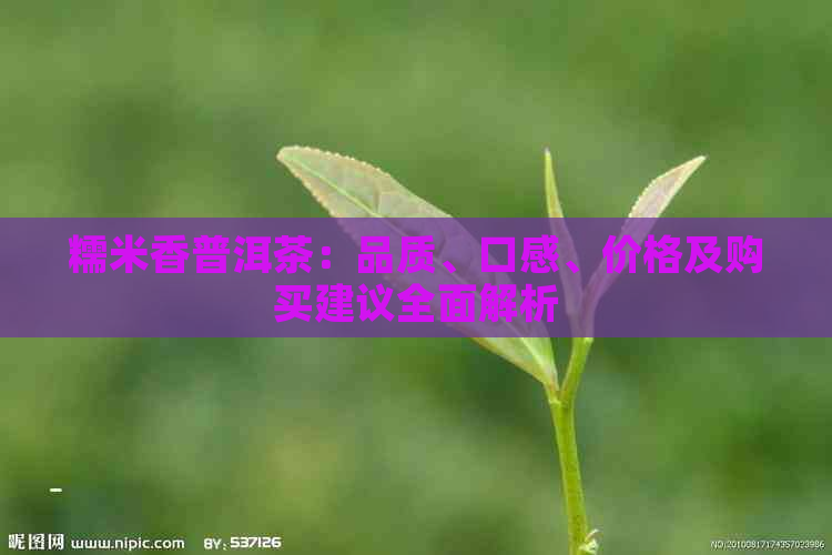 香烟红旗渠多少钱_香烟红旗渠图片_红旗渠香烟