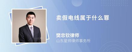 卖假电线属于什么罪