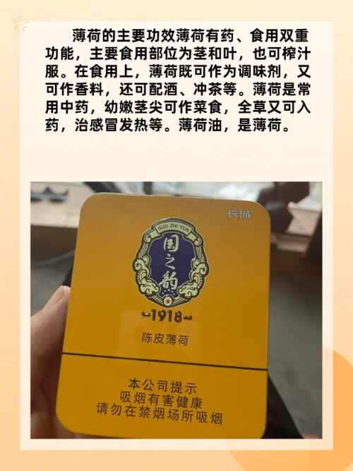 红金龙香烟_香烟红金龙多少钱_香烟红金龙所有品牌及价格