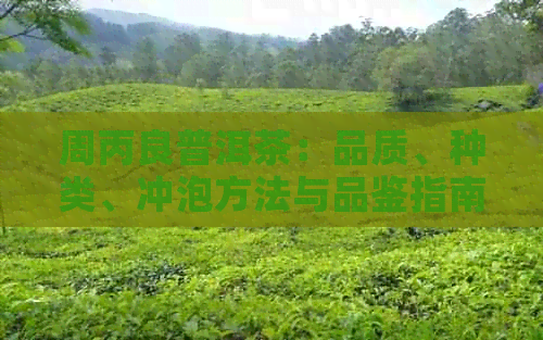 香烟七匹狼纯境多少钱一包_香烟七匹狼多少一包_七匹狼香烟