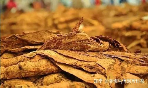 百乐门香烟口味_百乐门香烟烟嘴_百乐门香烟