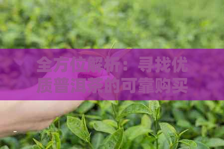 黄果树香烟_香烟黄果树长征价格_香烟黄果树多少钱