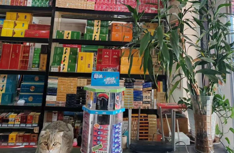 云霄香烟_香烟云霄是什么意思_香烟云霄货是什么意思