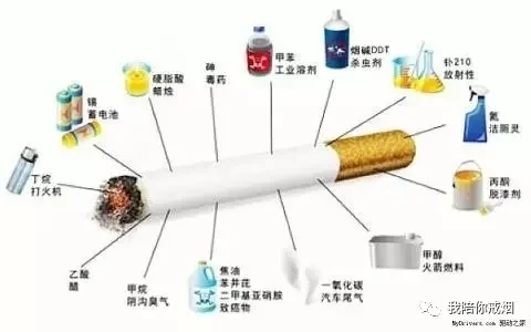 深入解析甲天下精品香烟的市场行情 - 2 - 安好香烟网