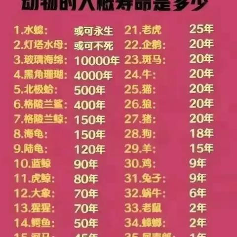 独家报道！外国烟代购渠道“春蚓秋蛇” - 3 - 安好香烟网