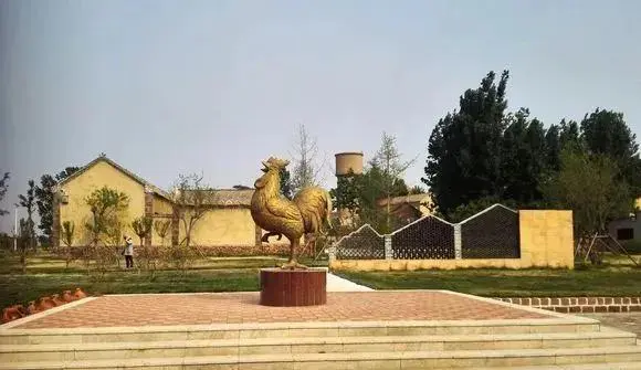 大鸡香烟_大鸡香烟_大鸡香烟