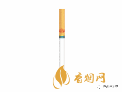 泰山香烟_泰山香烟系列价格大全_泰山香烟多少钱一包