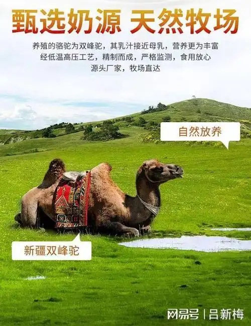 香烟价格一览表_香烟擦码神器打孔图片_CAMEL香烟
