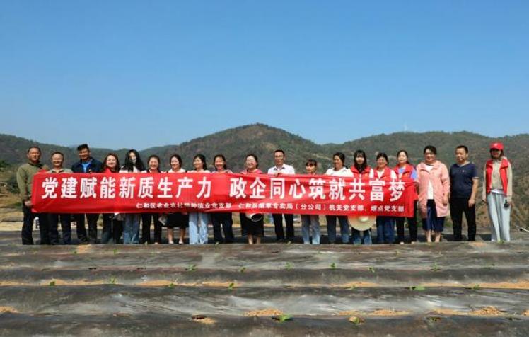香烟红金龙多少钱一盒_香烟红金龙所有品牌及价格_红金龙香烟