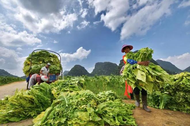 香烟中华细支多少钱一包_中华香烟_香烟中华价格表